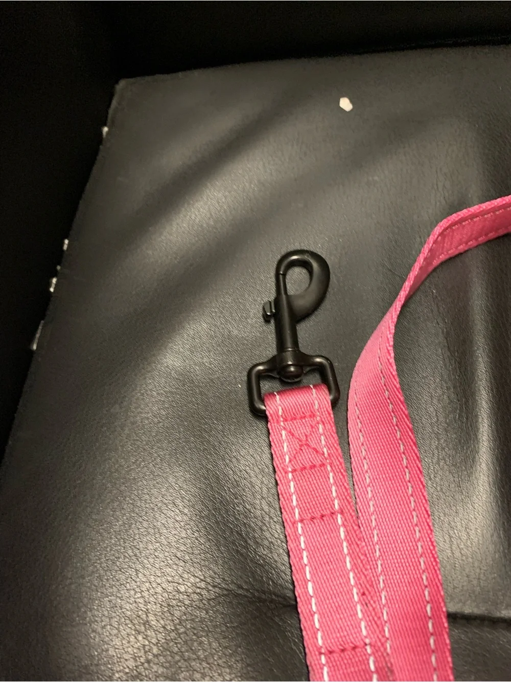 Pink Dog Leash with Padded Handle